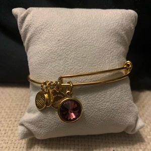 Alex and Ani Amethyst Birthstone Charm Bangle